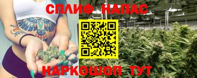 мет Дубна