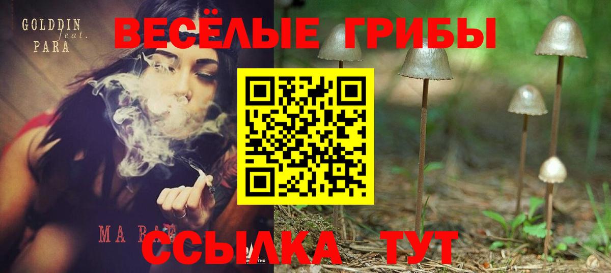 Псилоцибиновые грибы Psilocybe  Вход с VPN  Галлюциногенные грибы Psilocybe  Нижний Тагил 