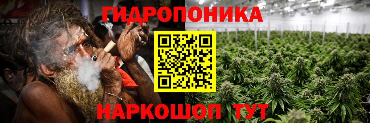 Шишки марихуана Ganja  Бошки Шишки Bruce Banner  Вход с VPN  Нижний Тагил 